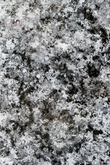 white snowflakes as background