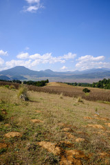 Fototapeta premium Paisaje de campo y montaña en Michoacan