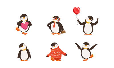 Cute Penguin Cartoon Characters Vector Set. Arctic Creature Wearing Sweater