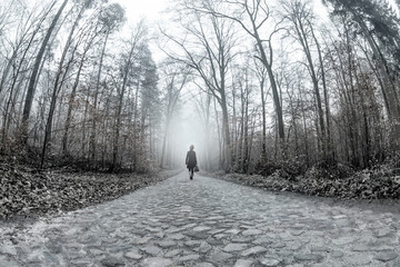 A woman with an umbrella and a bag walks through a forest. She runs on an old, narrow cobblestone...
