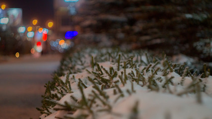 christmas tree in the city