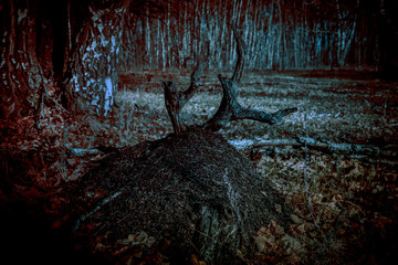 Scary mystical night forest, horror style. A clumsy stump with horns similar to the face of an ugly creature, anthill, trees with shades of bloody red dark in the ghostly dangerous light of the moon