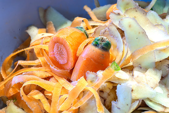 kitchen bio waste. Carrot and potato peels
