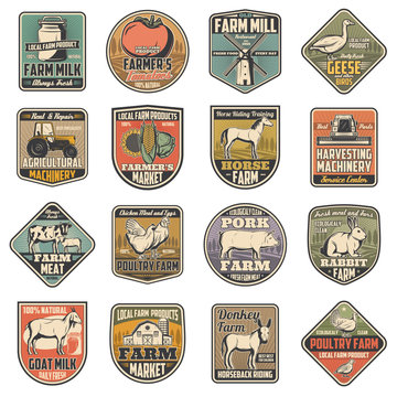 Cattle and poultry farming, food and meat production farm icons. Vector cow dairy production, wheat mill and barn, farmer vegetables harvest tractor, rabbit and chicken, donkey and horse on field