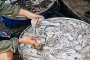 Hands of young woman taking fresh octopuses from basin with cold water when shopping at street fish market