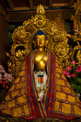 Fototapeta na wymiar Golden statue of Buddha in Tango monastery, Thimpu Valley, Thimpu, Bhutan