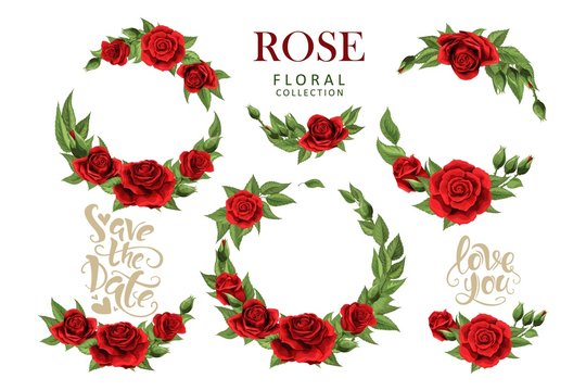 Red roses hand drawn illustration elements colored set isolated on white