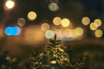 flower and city night lights with creative and colorful bokeh with bubbles on the background