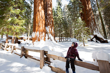 kid in sequoia national park