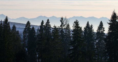 Panoramic view of the mountain peaks and spruce trees in the distance.