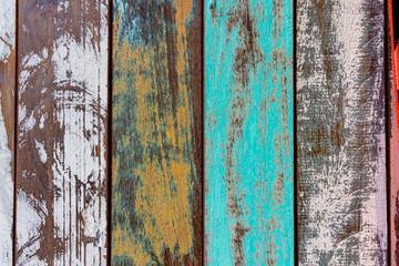 Diverse Wood Texture.