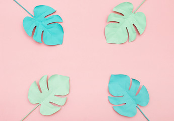 Monstera leaves on pink background.