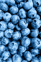 Fresh ripe blueberries background. Summer harvest concept, vitamin and vegetarian concept. Flat lay, top view, mockup, overhead. Color year 2020, classic blue, trendy color