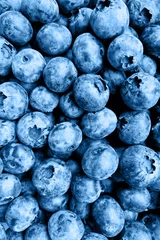 Hintergrund der frischen reifen Blaubeeren. Sommererntekonzept, Vitamin- und vegetarisches Konzept. Flache Lage, Draufsicht, Mockup, Overhead. Farbjahr 2020, klassisches Blau, Trendfarbe © Алина Бузунова