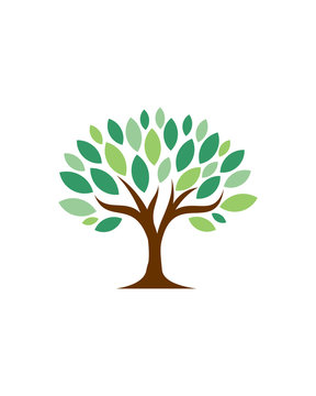 beautiful tree logo vector template