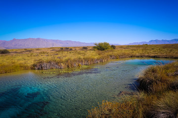 El oasis del desierto de Coahuila