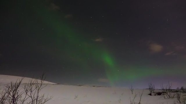 Time Lapse of Aurora Borealis, Northern Lights, in Tromsoe, Norway. Snowy hill and trees in foreground.