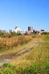 松戸市街を臨む冬枯れの江戸川河川敷風景