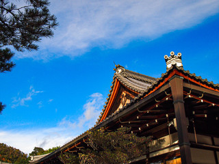 Fototapeta premium Japanese roof