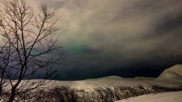 Time Lapse of Aurora Borealis, Northern Lights, and clouds in Tromsoe, Norway. Tree in foreground and snow covered mountains in background.