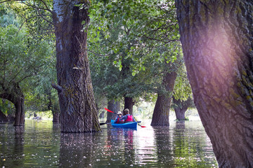 Son with mother paddle a blue kayak in wilderness areas at Danube river among flooded poplar trees...