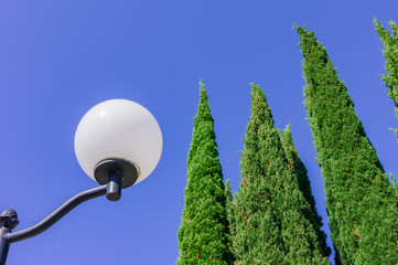 Street vintage lantern on background of blue sky and huge cypresses.