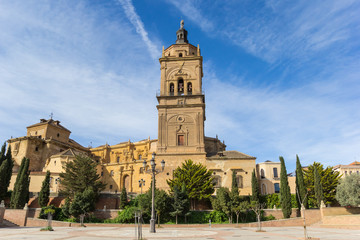 Fototapeta na wymiar Front view of the cathedral of Guadix, Spain