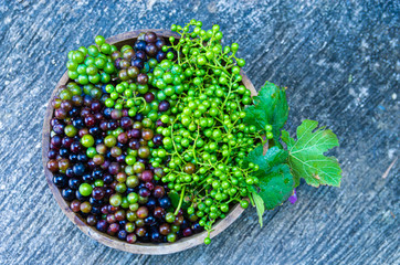 Picture of red and green grapes with unripe grapes in a wooden bowl background cement floor with...