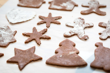 Obraz na płótnie Canvas Making gingerbread cookies for Christmas