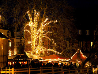 Weihnachtsmarkt in Lünebrug