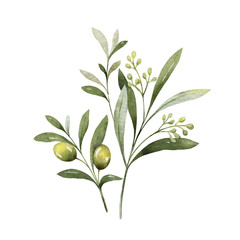 Watercolor vector bouquet of olive branches and flowers.