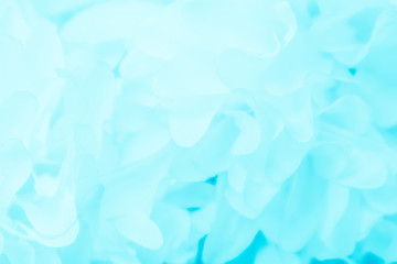 Obraz premium Beautiful abstract color purple and blue flowers on white background and light blue flower frame and purple leaves texture 