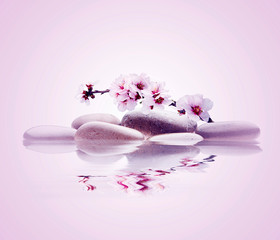 spa de flores y piedras sobre agua en fondo rosado