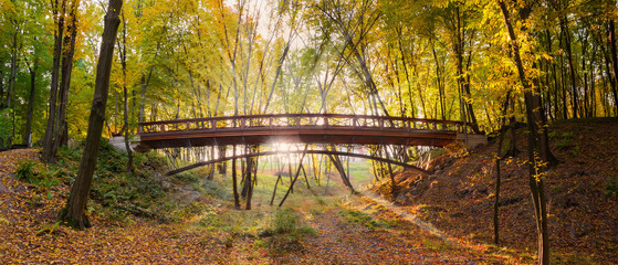 Decorative footbridge bridge in the autumn park among the trees