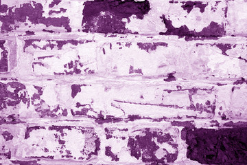 Old grungy brick wall texture in purple tone.