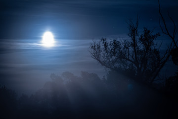 Night landscape and moonlight