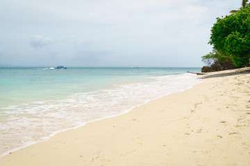 Cayo Levantado  nickname Bacardi island, beautiful beach with waves and palm trees in the Atlantic, north of the equator,Samana peninsula,Dominican republic