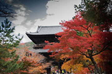 美しく赤に染まった紅葉に彩られた南禅寺　　　京都