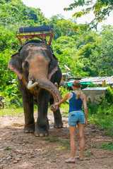 Touristin mit Elefant in Thailand, Asien