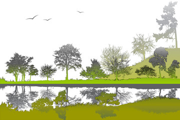 Landscape with a river and birds in the sky.Vector illustration of a landscape. Trees on a background of water and shrubs. Illustration of a variety of trees on the banks of the river.