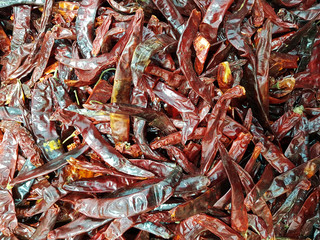 Dried Hot Pepper texture background