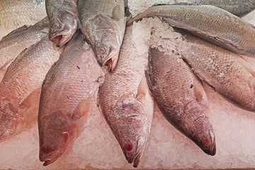 fresh raw fish on shelf with ice in market