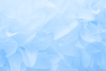 Beautiful abstract color purple and blue flowers on white background and light blue flower frame...