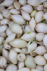 fresh white onion sets closeup