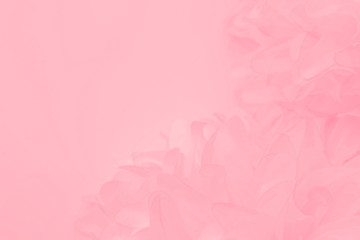 Obraz premium Beautiful abstract color white and pink flowers on white background and white flower frame and orange leaves background texture, flowers banner