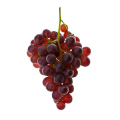 Grape or fresh grapes on a background new.