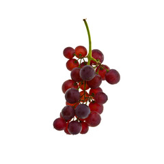 Grape or fresh grapes on a background new.