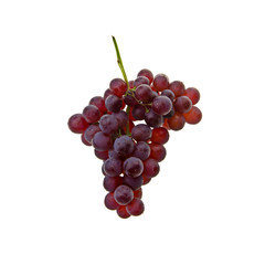 Grape or fresh grapes on a background new.