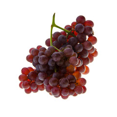 Grape or fresh grapes on a background new.