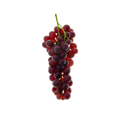 Grape or fresh grapes on a background new.